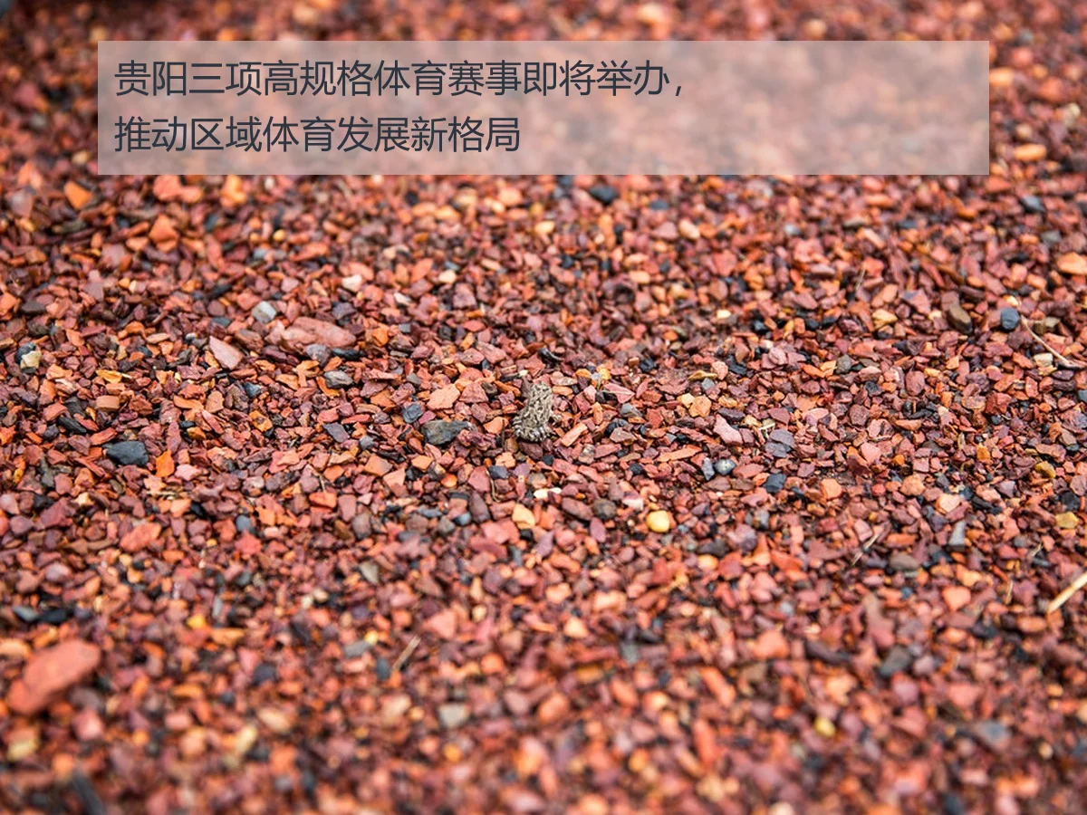 贵阳三项高规格体育赛事即将举办，推动区域体育发展新格局